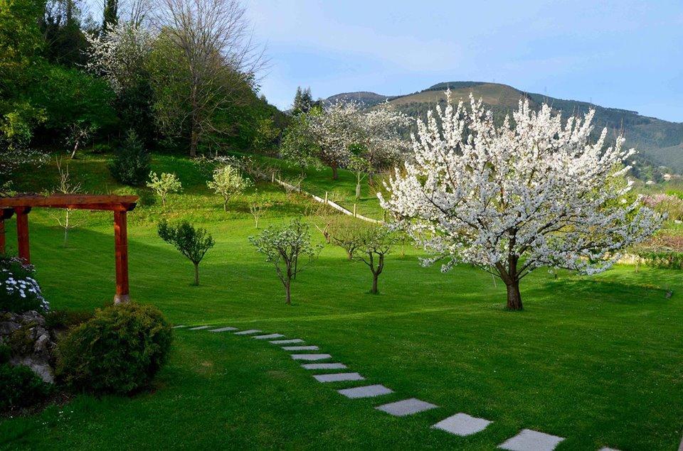 Labeondo Guest House มุสคิซ ภายนอก รูปภาพ